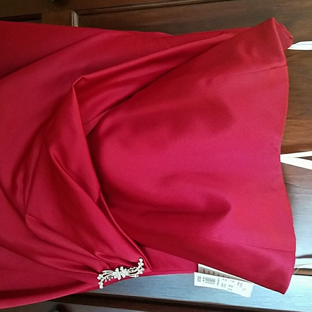 David's Bridal Bridesmaid Dresses - Picture 3 of 8